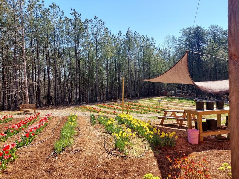 Moonchild Farm