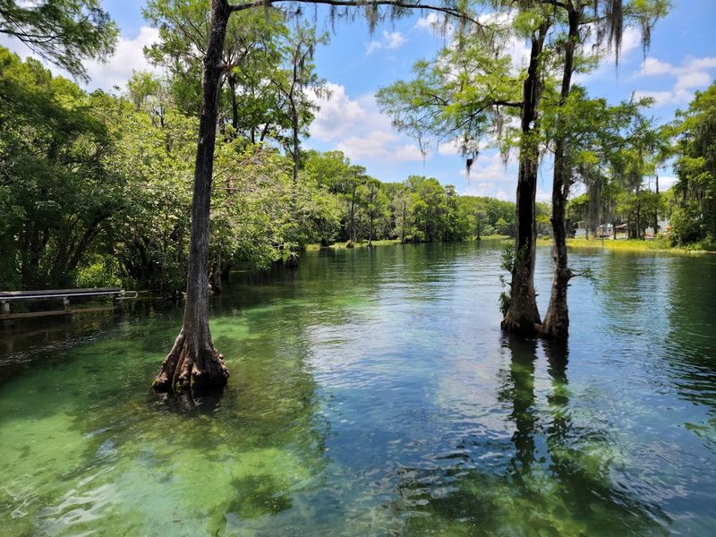 Rainbow River 