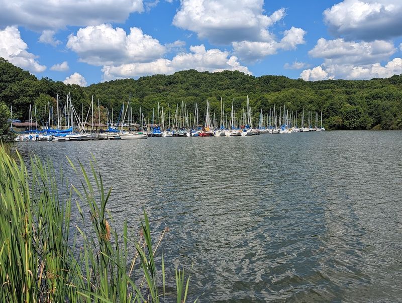 Lake Arthur