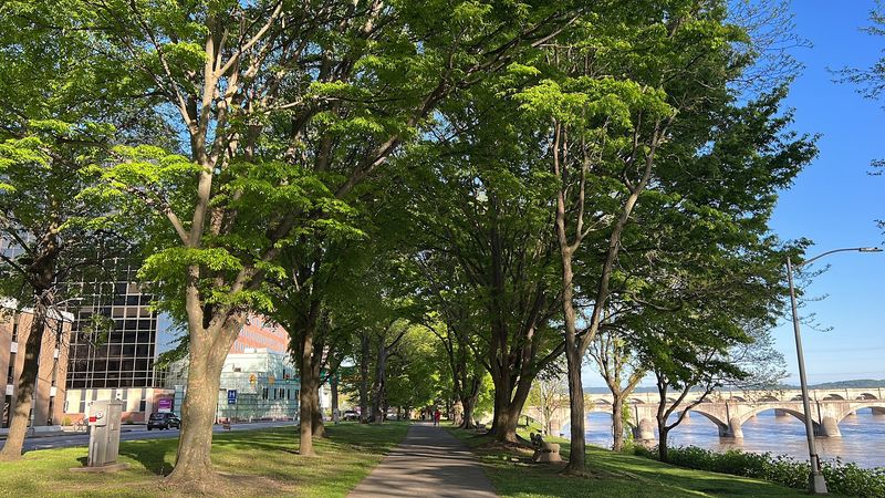 Susquehanna River Waterfront (Harrisburg Riverfront Park)