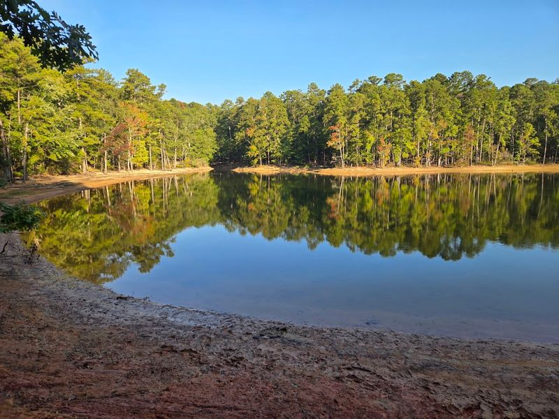 Mistletoe State Park Beach