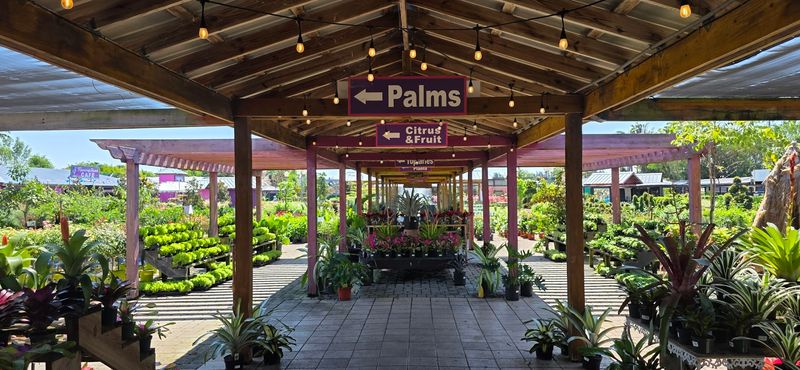 Flamingo Road Nursery