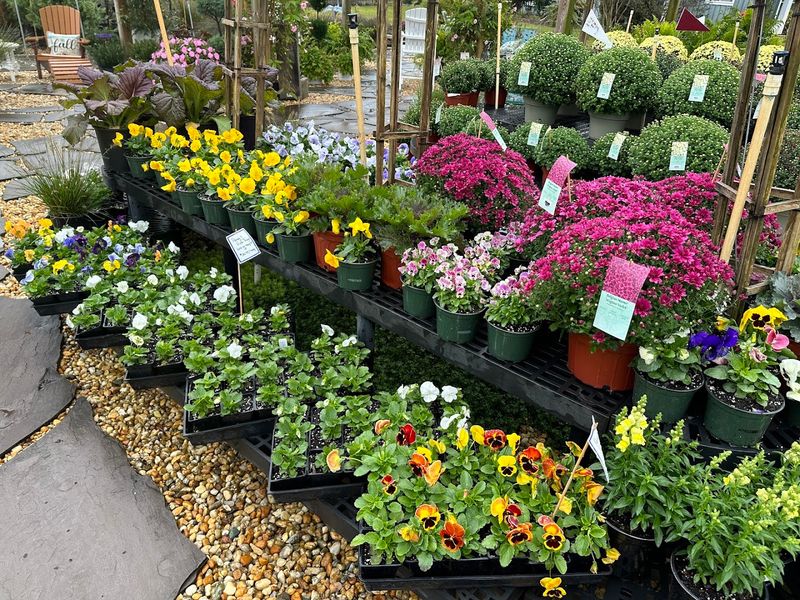 Johnson Nursery