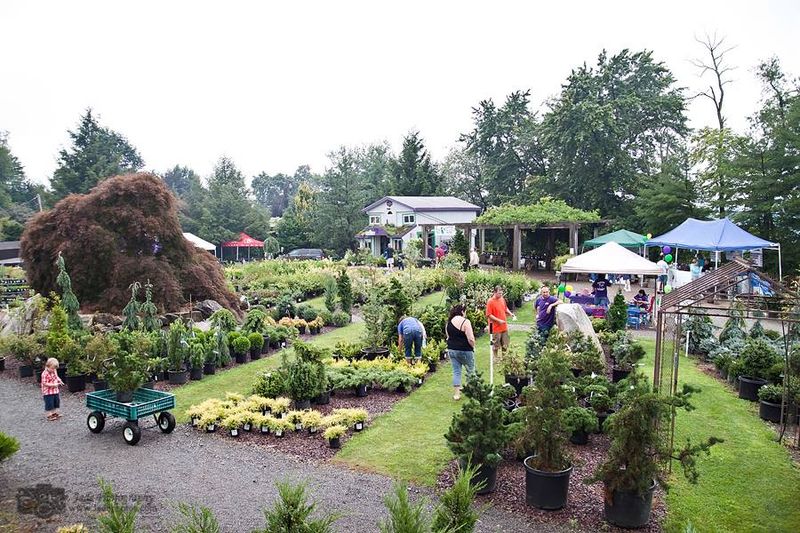 Plumline Nursery