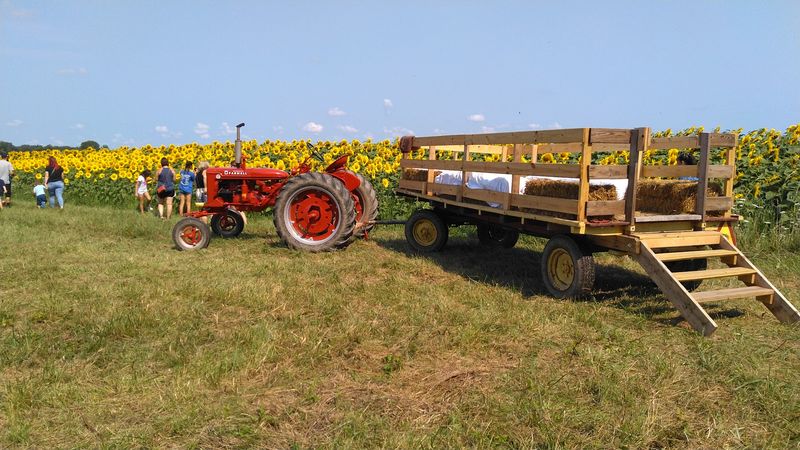 Harvest Your Own Bouquet
