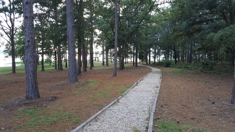 Pedal Through Paradise on Scenic Trails