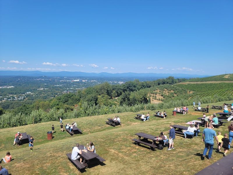 Charlottesville - Carter Mountain Orchard