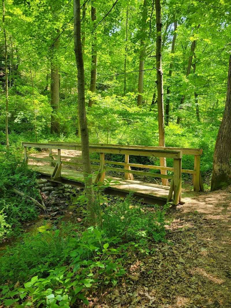 Blue Marsh Lake Trail System 