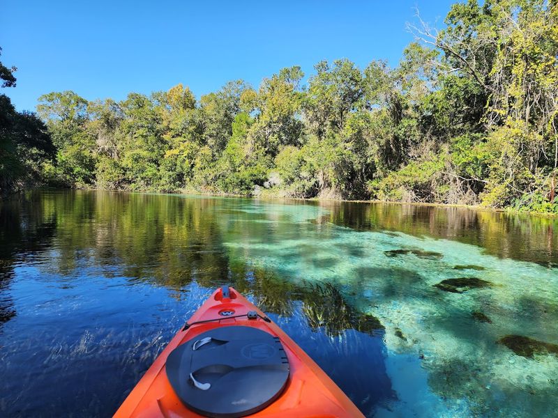Kayaking and Paddling the Spring Run