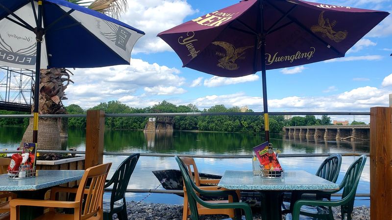 Dockside Willies