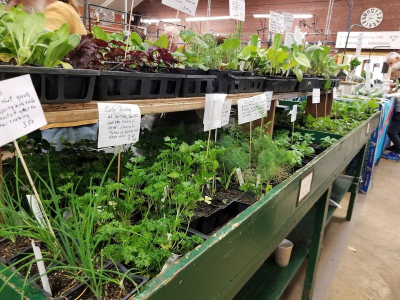 Greensboro Curb Market