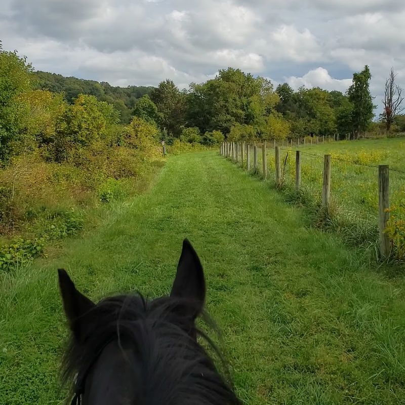 Sky Meadows State Park Trails & Adventure Area