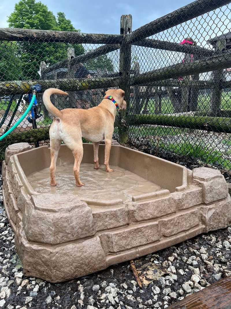 Stamford Dog Park