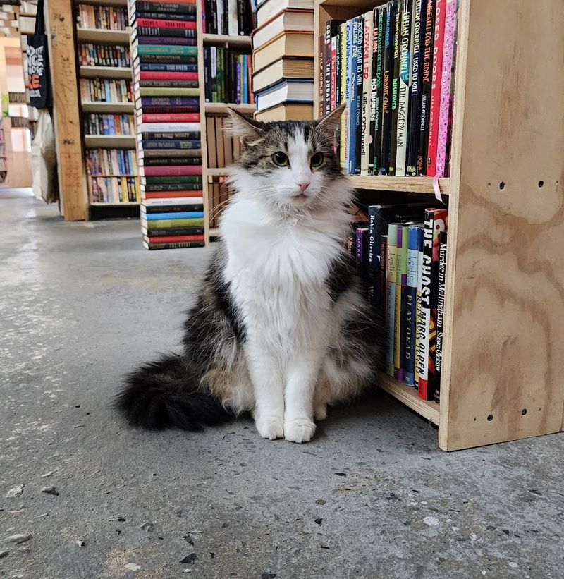 Cupboard Maker Books - Enola, Cumberland County