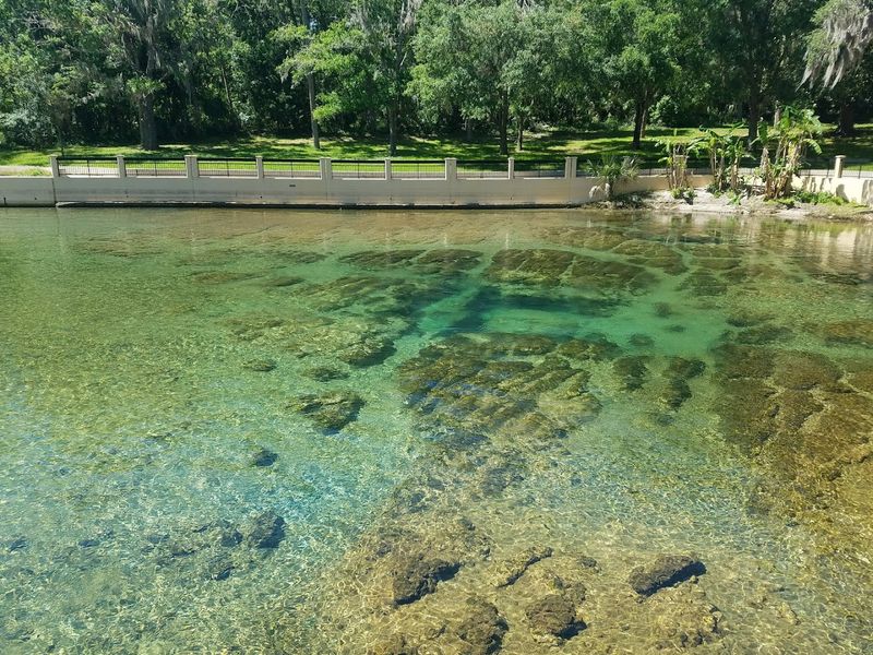 Salt Springs Recreation Area