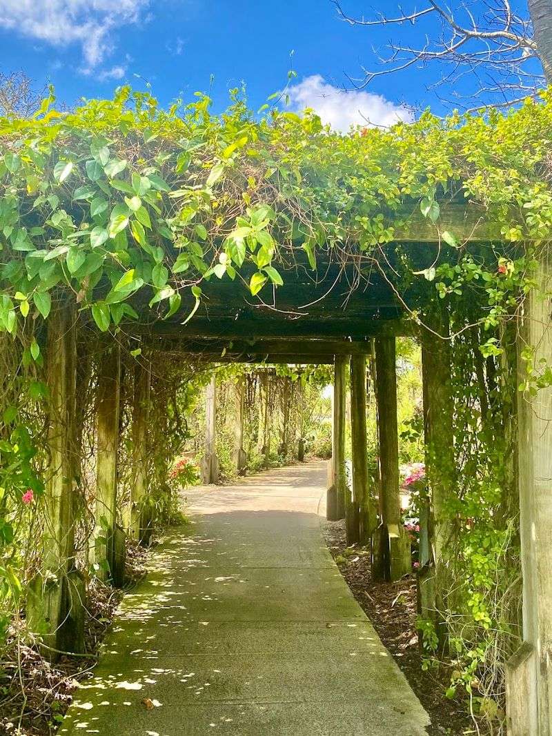 Mounts Botanical Garden Plant Sales