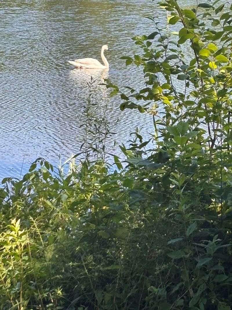 Tinker's Creek State Park - Streetsboro