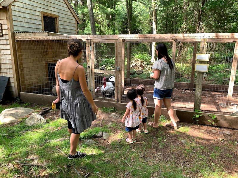 Dalby Farm (Scituate)