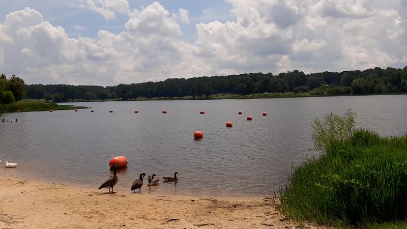 Acworth Beach