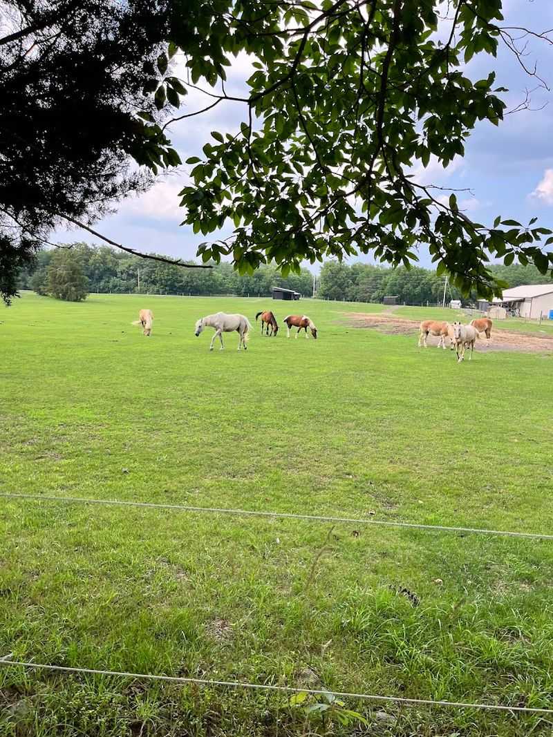 Winsome Farm Ranch Resort &mdash; Newville, Pennsylvania