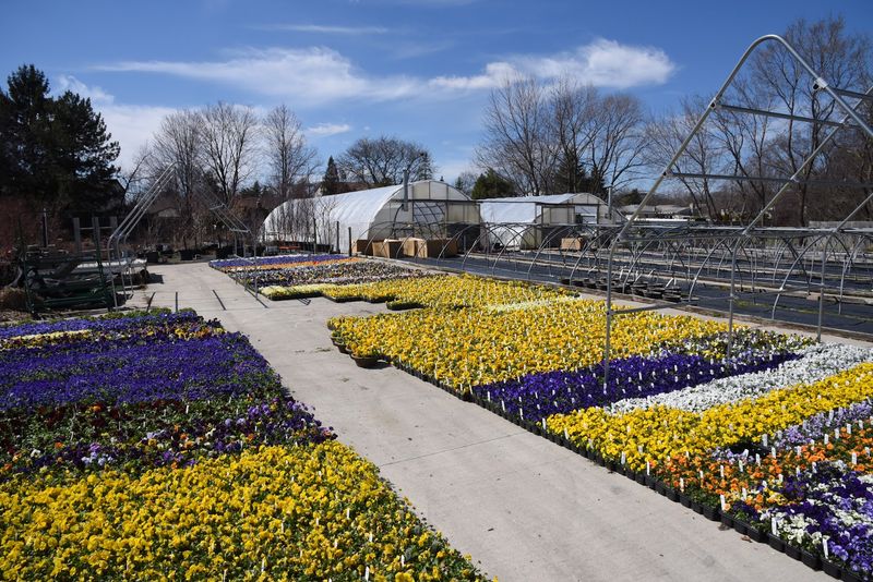 Telly's Greenhouse, Troy, Oakland County,
