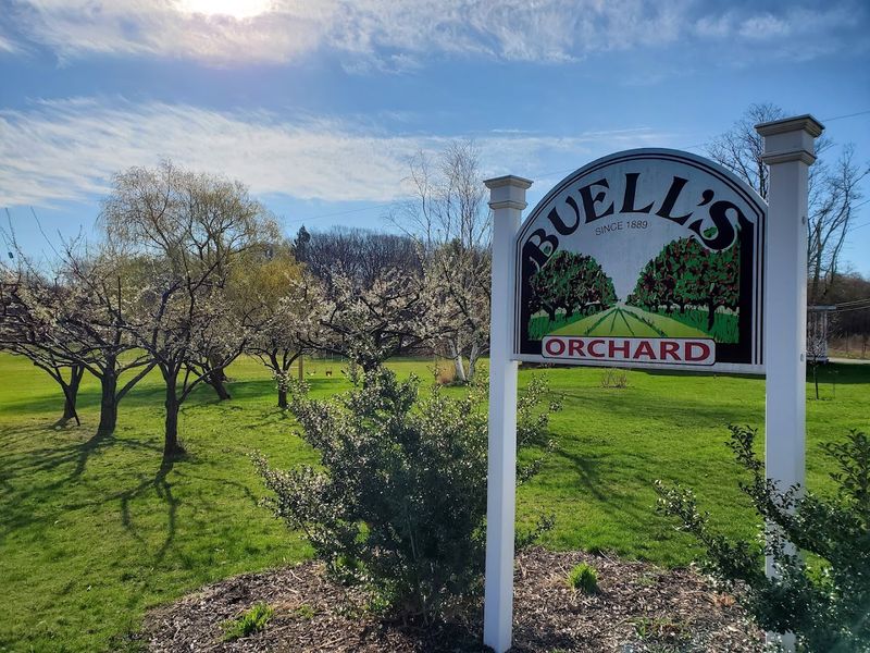 Buell's Orchard (Eastford)
