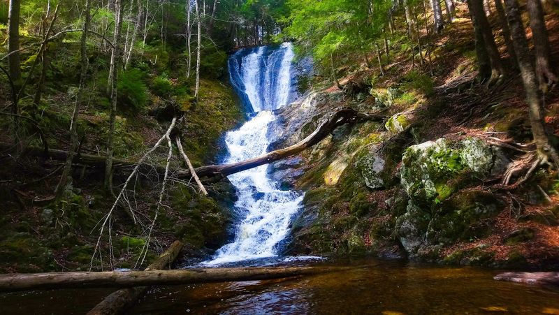 Tannery Falls
