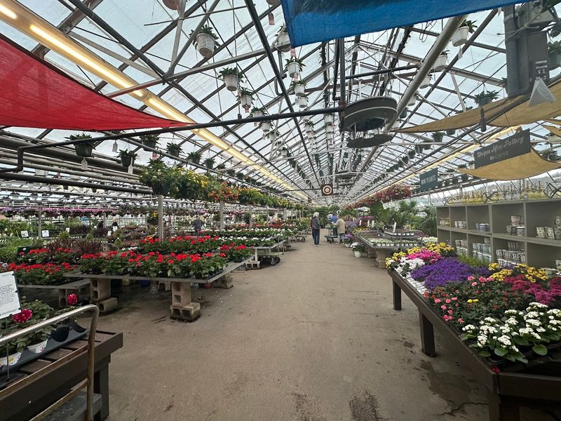 Mahoney's Garden Center