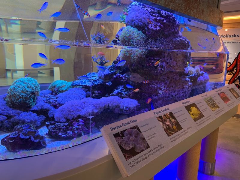 Bailey-Matthews National Shell Museum & Aquarium