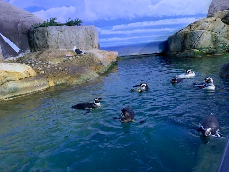 John Ball Zoo Aquarium Exhibits 