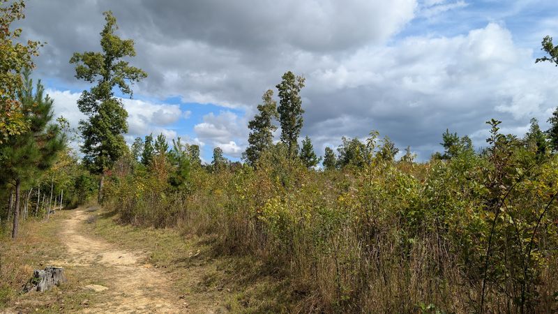 Buffalo Creek Preserve Equestrian Trails 