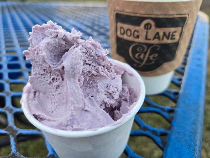 UConn Dairy Bar