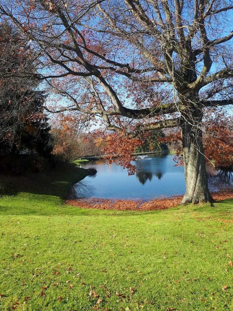 Hickory Lane Farms 