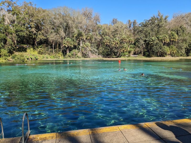 Rainbow River State Park