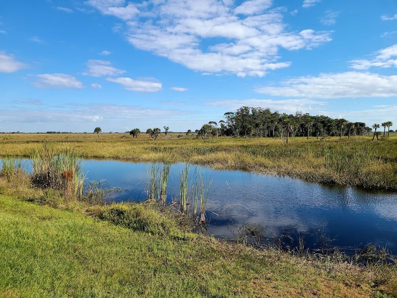 Kissimmee Prairie Preserve State Park