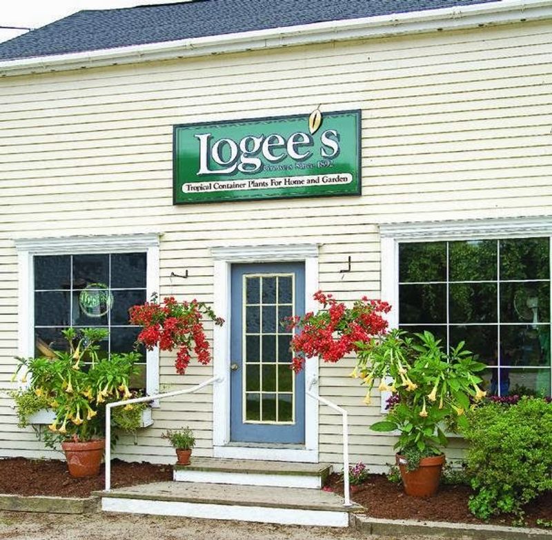 Logee's Plants for Home & Garden - Danielson, Windham County,