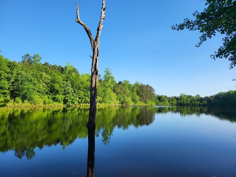 Arabia Mountain National Heritage Area - Lithonia, DeKalb County