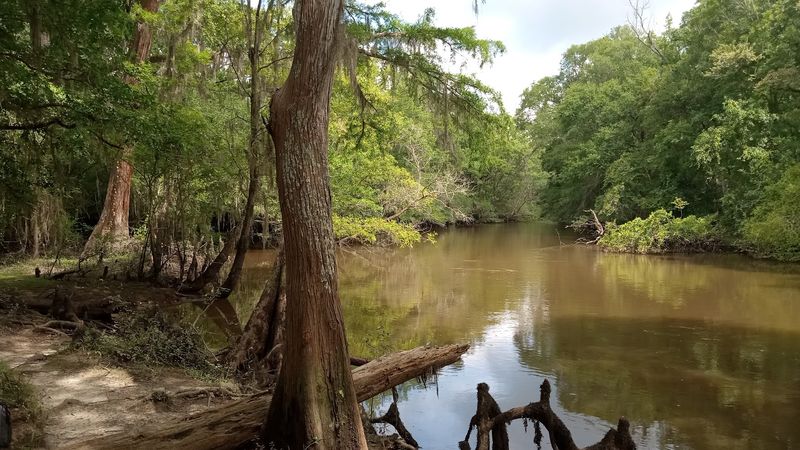 Ogeechee River
