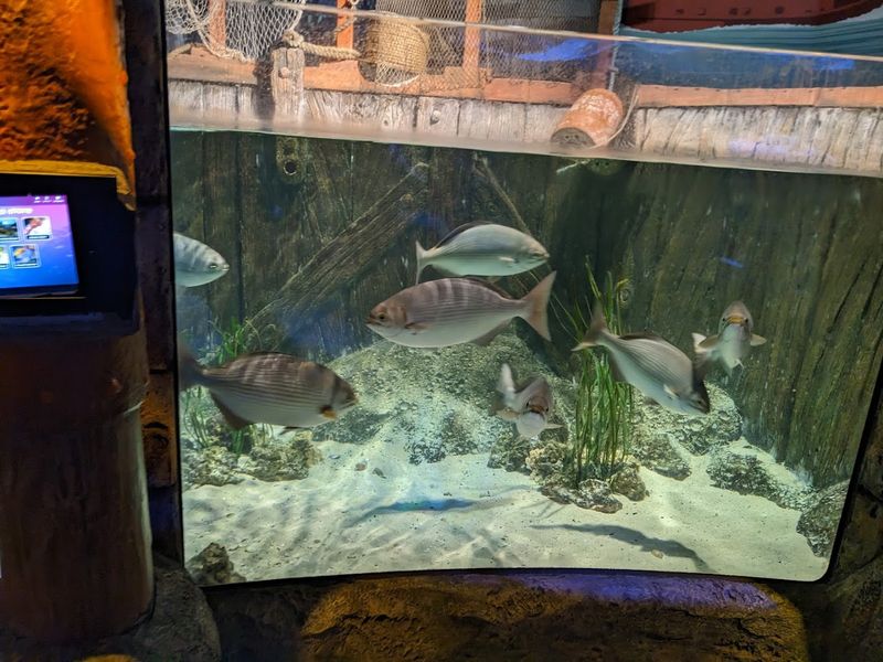 Educational Programs and Behind-the-Scenes Tours