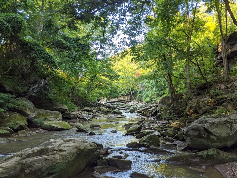 Photography And Picnic Potential