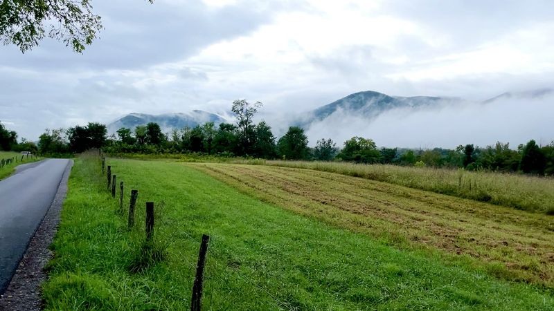 Cades Cove Loop Road