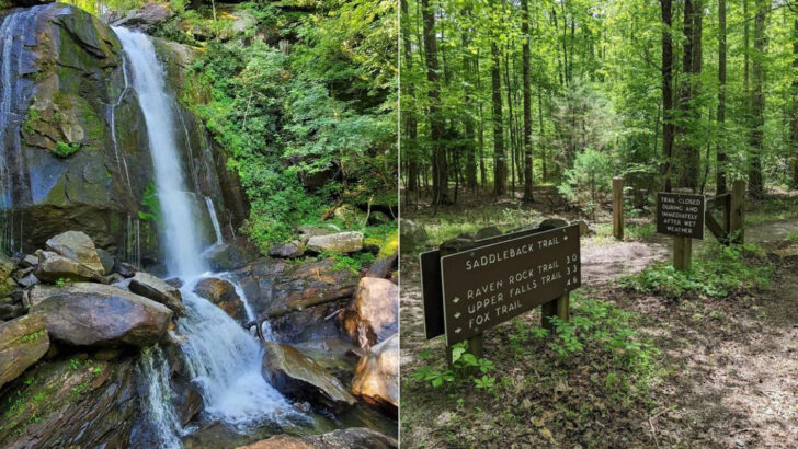 Scenic Ridge Walks And Forest Views Made For Weekend Adventure In North Carolina