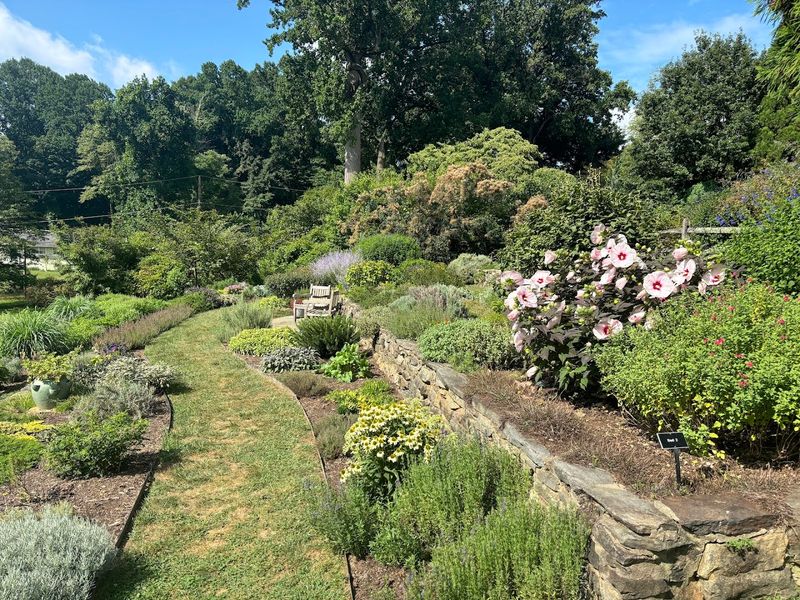 Tyler Arboretum (Media)