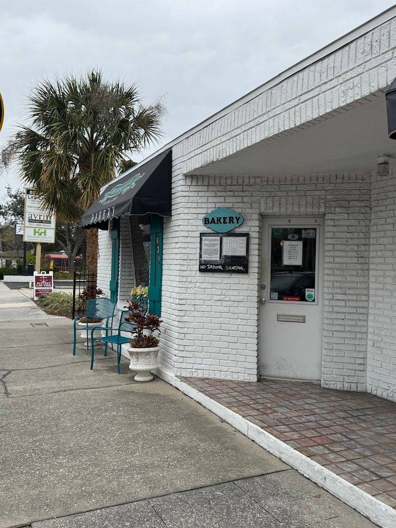 Joey Biscotti — Safety Harbor