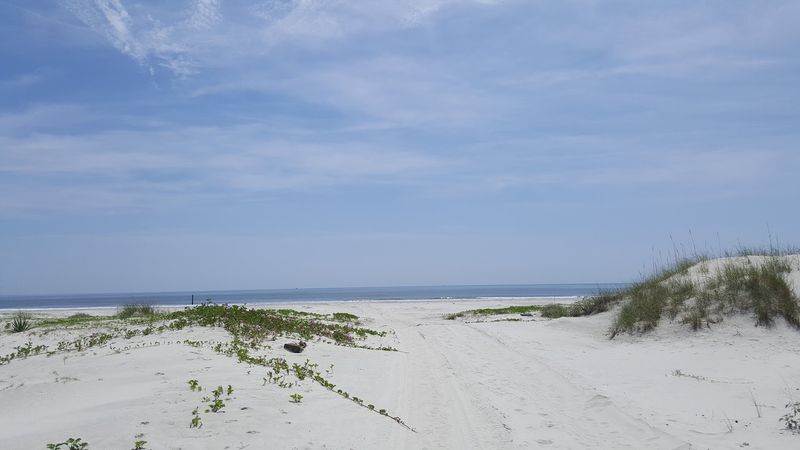Cumberland Island Beach - St. Marys, Camden County, Georgia