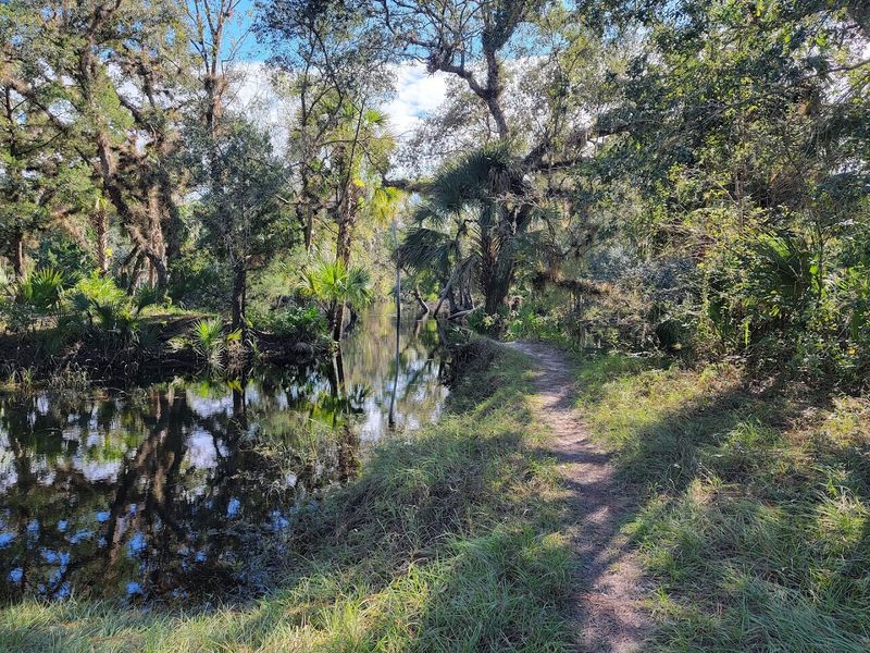 Little Big Econ State Forest Horse Trails 