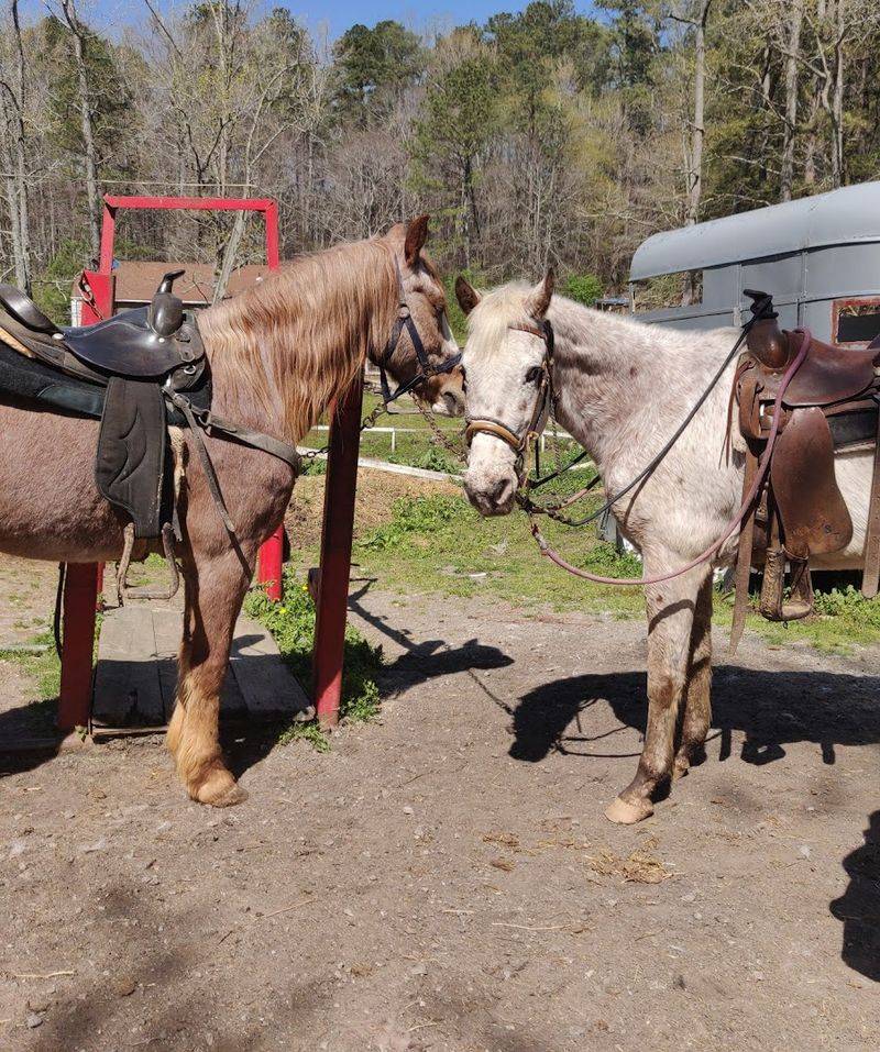 JD’s Horse Ranch — Fairburn, Georgia