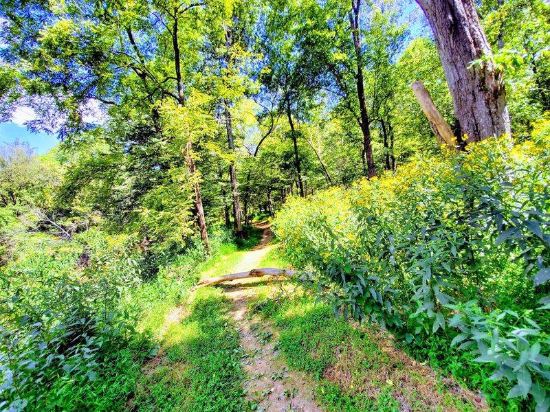 Cox Mountain Trail Adventure Loop