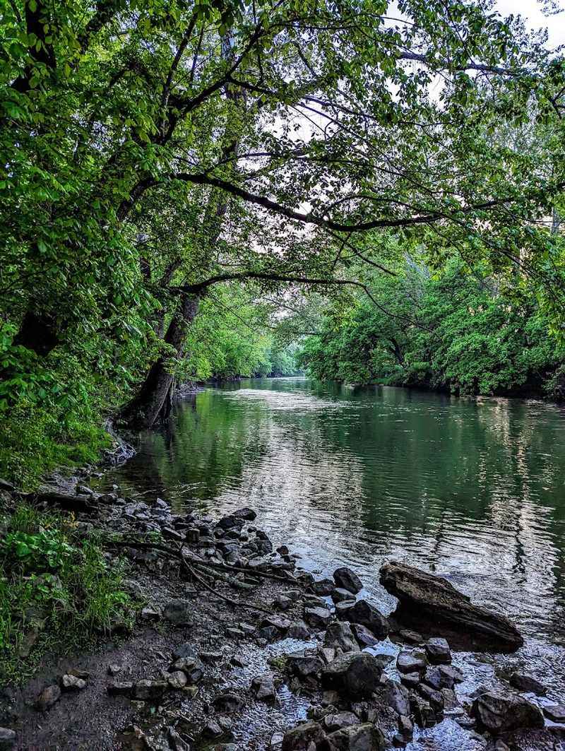 Living Beside A River That Softens Everything
