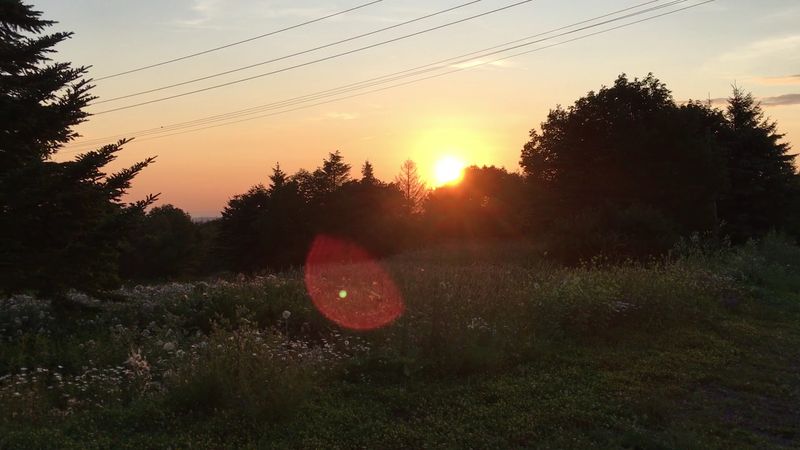 Blue Knob State Park